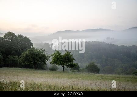 12. Juni 2020, Schwithten (Hessen): Nebel liegt am frühen Morgen über den Feldern und der Landschaft bei Dorfweil. Weltweit eingesetzt Stockfoto