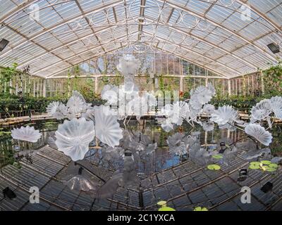 Reflections on Nature - Chihuly Skulptur in Kew Gardens Stockfoto