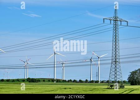 Wind Räder und Stromleitungen in einem Maisfeld in ländlichen Deutschland Stockfoto