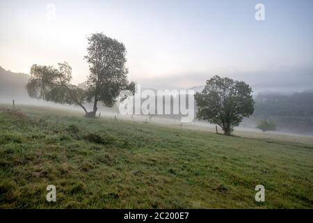 12. Juni 2020, Schwithten (Hessen): Nebel liegt am frühen Morgen über den Feldern und der Landschaft bei Dorfweil. Weltweit eingesetzt Stockfoto