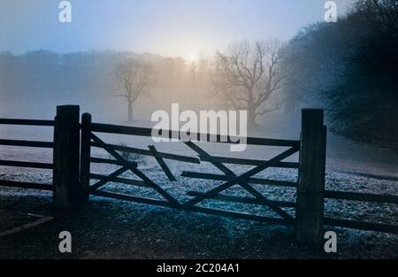 Frostiger Morgen Ackerland mit gebrochenem Tor, kühl kalt nebligen Sonnenaufgang Stockfoto