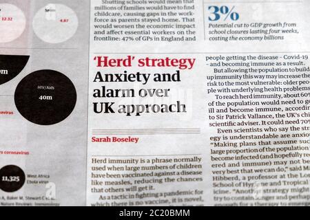 ' 'Herdenstrategie' Angst und Alarm über UK-Ansatz' Coronavirus Covid 19 Immunität News Guardian Zeitungsartikel am 13. März 2020 London England Großbritannien Stockfoto