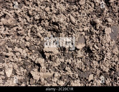 Nass und trocken Schmutz Oberboden Lehm Detail mit Textur Stockfoto