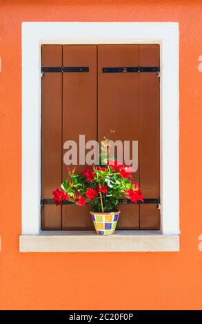 Farbe Kontraste in diesem typischen Fenster - Burano Burano ist eine bunte italienische Insel Dorf/kleine Stadt in der Lagune von Venedig Stockfoto