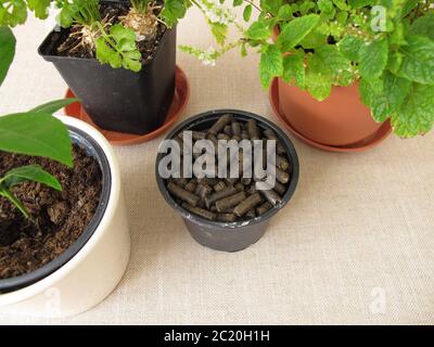 Pferdemist-Pellets zur Düngung von Pflanzen Stockfoto