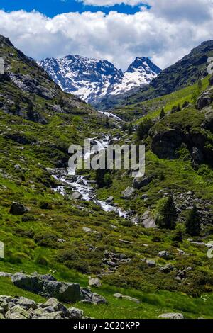Bach mit Kaskaden fließt durch das Soulcem Tal in den französischen Pyrenäen, Ariege Region, Frankreich, Pyrenäen Berge Stockfoto