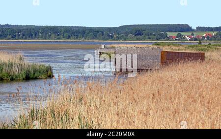 Am Federsee bei Bad Buchau Stockfoto