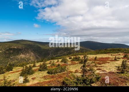 Blick auf die Vozka und Keprnik Hügel vom Cervena hora Hügel über Vresova studanka im Frühling Jeseniky Berge in der Tschechischen republik Stockfoto