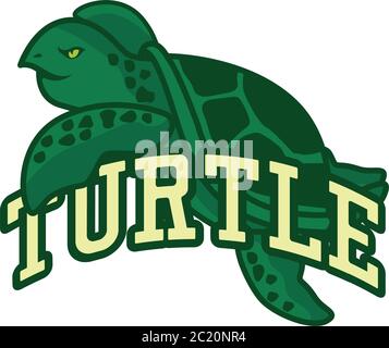 Grünes Schildkrötenlogo, Vektorgrafik Stock Vektor