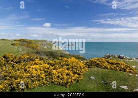 Trevallen Broad Haven South Pembroke Pembrokeshire Wales Stockfoto