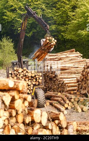 Holzverladung Holzernte Carmarthenshire Wales Stockfoto