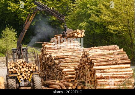 Holzverladung Holzernte Carmarthenshire Wales Stockfoto