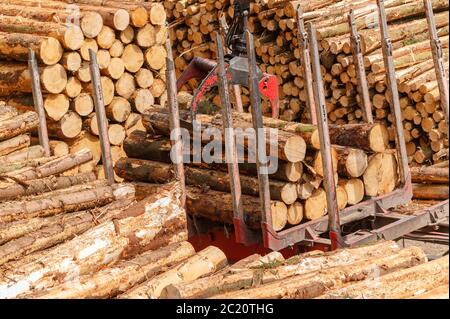 Holzverladung Holzernte Carmarthenshire Wales Stockfoto