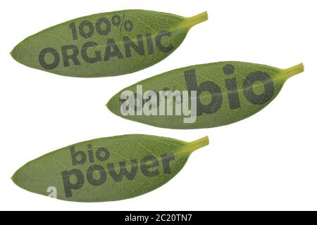 Symbol mit drei grünen Blättern und die Inschriften 100% Bio, 100% organischen und bio Power Stockfoto