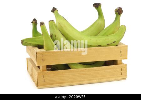 Unreife Backbananen (Kochbananen) in einer Holzkiste auf weißem Hintergrund Stockfoto