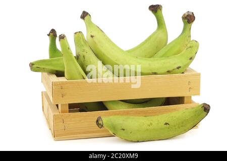 Unreife Backbananen (Kochbananen) in einer Holzkiste auf weißem Hintergrund Stockfoto