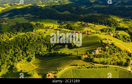 Luftaufnahme von grünen Hügeln und Weinbergen mit Bergen im Hintergrund. Österreich Weinlandschaft. Stockfoto