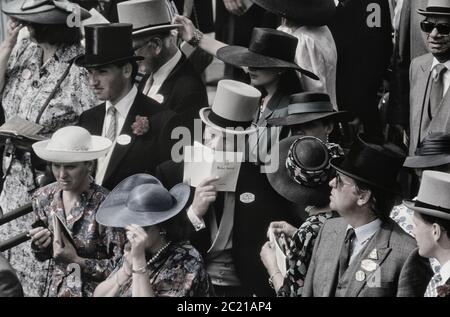 Zuschauer in der Royal-Gehäuse bei den Royal Ascot-Rennen. Berkshire. England. UK Stockfoto