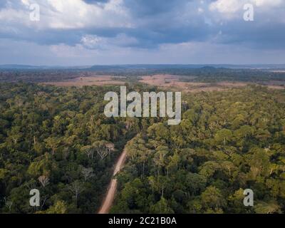 Schöne Drohne Luftaufnahme von Jamanxim Waldbäumen, Feldweg und Entwaldung im Amazonas Regenwald, Brasilien. Konzept der Erhaltung, Landwirtschaft Stockfoto