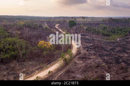 Drohne Luftaufnahme der Entwaldung auf Bauernhof mit illegalem Brennen von Waldbäumen Weide für Rinder im Amazonas Regenwald, para, Brasilien zu machen. Stockfoto