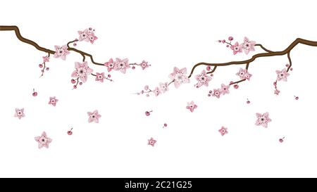 Sakura Blüte Blumen isoliert auf weißem Hintergrund, Vektor-Illustrator Stock Vektor