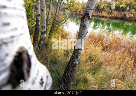 Zorita de los Canes, Guadalajara, Spanien Stockfoto