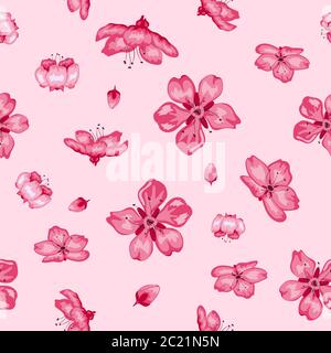 Sakura Blüte Blumen nahtlose Muster Hintergrund, Vektor-Illustrator Stock Vektor