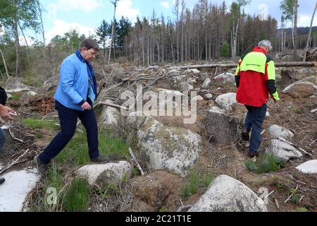 Schierke, Deutschland. Juni 2020. Claudia Dalbert, Umweltministerin Sachsen-Anhalts, Bündnis 90/die Grünen besucht gemeinsam mit Andreas Pusch, Leiter des Nationalparks Harz, die Waldbrandschutzmaßnahmen im Nationalpark Harz. Quelle: Matthias Bein/dpa-Zentralbild/ZB/dpa/Alamy Live News Stockfoto