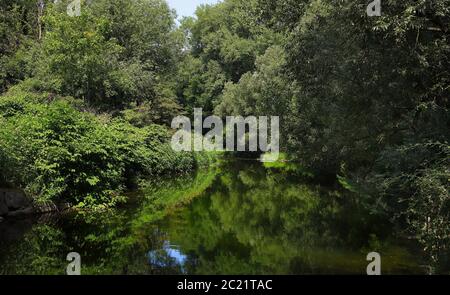 Ruhrgebiet in der Nähe der Stadt Arnsberg im Sommer, mit Tieflandwald, Nordrhein-Westfalen, Deutschland Stockfoto