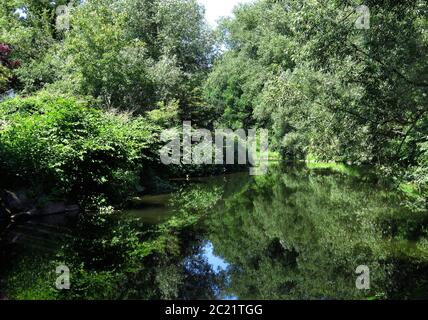 Ruhrgebiet im Sommer, mit Tieflandwald, Nordrhein-Westfalen, Deutschland Stockfoto