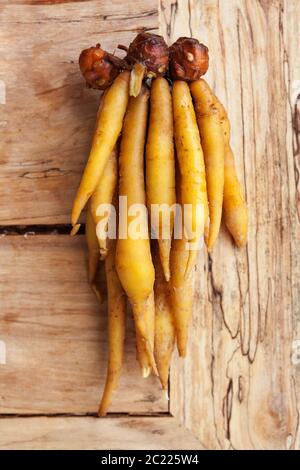 Fingerroots auf Holztisch von oben. Stockfoto