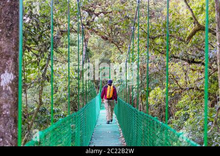 Übergabe Brücke im grünen Dschungel, Costa Rica, Mittelamerika Stockfoto