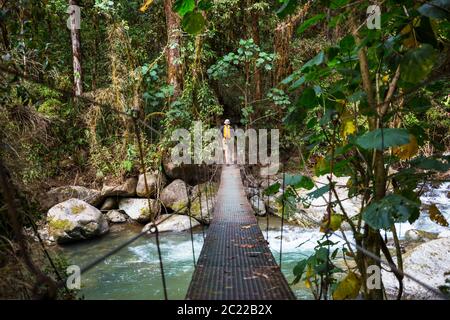 Übergabe Brücke im grünen Dschungel, Costa Rica, Mittelamerika Stockfoto