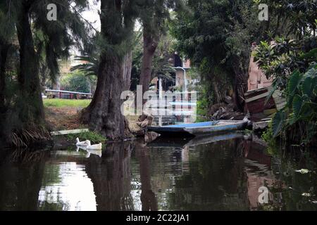 Die Insel der Puppen (La Isla de las Muñecas) kleine Inseln im Xochimilco-See, Mexiko-Stadt, Mexiko Stockfoto