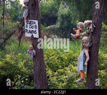 Die Insel der Puppen (La Isla de las Muñecas) kleine Inseln im Xochimilco-See, Mexiko-Stadt, Mexiko Stockfoto