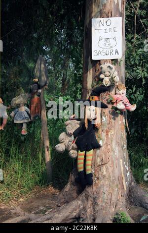 Die Insel der Puppen (La Isla de las Muñecas) kleine Inseln im Xochimilco-See, Mexiko-Stadt, Mexiko Stockfoto
