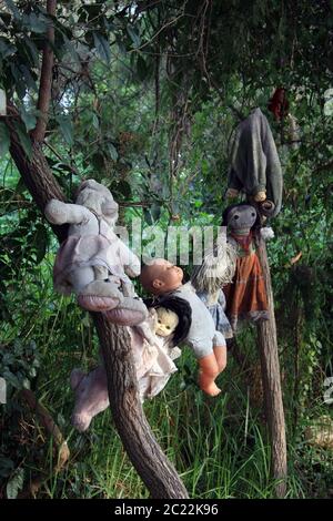 Die Insel der Puppen (La Isla de las Muñecas) kleine Inseln im Xochimilco-See, Mexiko-Stadt, Mexiko Stockfoto