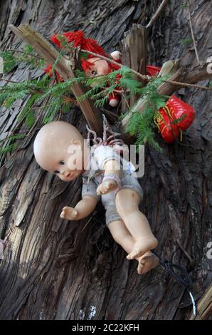 Die Insel der Puppen (La Isla de las Muñecas) kleine Inseln im Xochimilco-See, Mexiko-Stadt, Mexiko Stockfoto