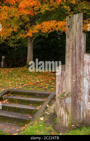 Betontreppen und gefallene bunte Blätter mit verwitterten Holzpfeilungen im Seahurst Park in Burien, Washington. Stockfoto