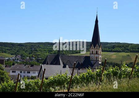 Blick auf Ahrweiler aus den Weinbergen Stockfoto