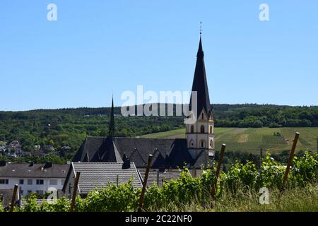 Blick auf Ahrweiler aus den Weinbergen Stockfoto