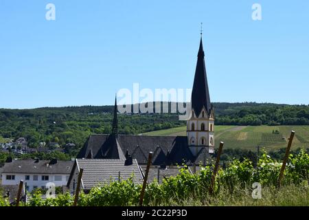 Blick auf Ahrweiler aus den Weinbergen Stockfoto