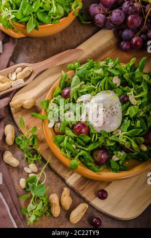 Lamm-Salat mit pochiertem Ei, Nüssen und Trauben, einfach, gesund und lecker! Stockfoto