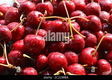 Fresh red cherries, fruits of the summer season Stockfoto