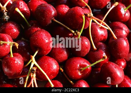Fresh red cherries, fruits of the summer season Stockfoto