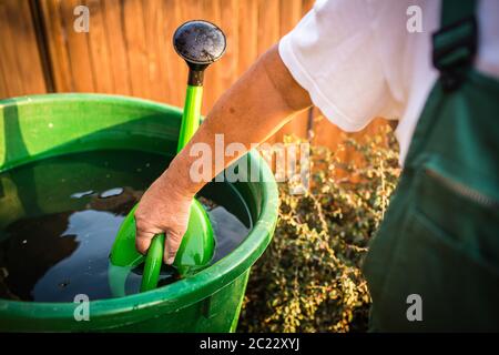 Älterer Mann im Garten in seinem Garten, auf einem schönen Frühlingstag (Farbe getonte Bild) mit Wasser aus einer Retention System während der schweren Dürre Zeitraum Stockfoto