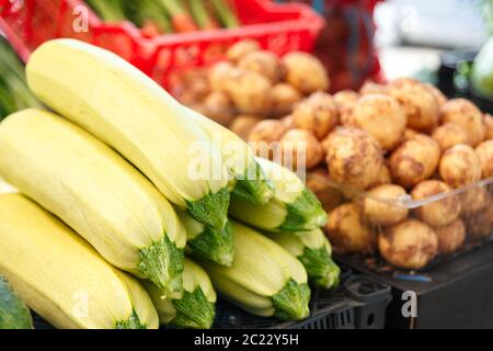 Stapel mit reifen Zerstäuben auf dem Zähler des belarussischen Marktes. Frisches Gemüse im Straßenbasar. Stachelige Gurken. Stockfoto