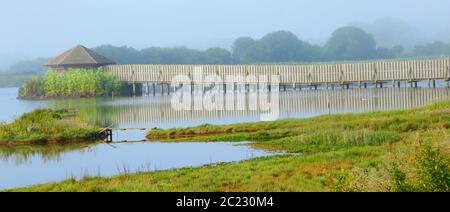 Inselverstecke mit langem Fußweg im Seaton Wetlands Nature Reserve, Devon Stockfoto