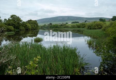 Threipmuir Reservoir Reservoir in der Stadt Edinburgh Council Area, in der Nähe von Balerno, Schottland Stockfoto