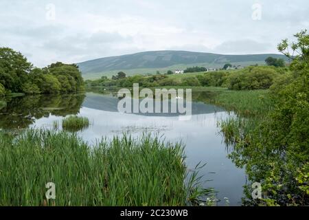 Threipmuir Reservoir Reservoir in der Stadt Edinburgh Council Area, in der Nähe von Balerno, Schottland Stockfoto